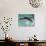 Young Woman Swimming the Backstroke in a Swimming Pool, Bainbridge Island, Washington, USA-null-Photographic Print displayed on a wall