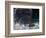 Young Woman Swimming the Backstroke in a Swimming Pool, Bainbridge Island, Washington, USA-null-Framed Photographic Print