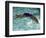 Young Woman Swimming the Backstroke in a Swimming Pool, Bainbridge Island, Washington, USA-null-Framed Photographic Print