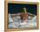 Young Woman Swimming the Butterfly Stroke in a Swimming Pool, Bainbridge Island, Washington, USA-null-Framed Premier Image Canvas