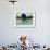 Young Woman Swimming the Butterfly Stroke in a Swimming Pool, Bainbridge Island, Washington, USA-null-Framed Photographic Print displayed on a wall