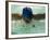 Young Woman Swimming the Butterfly Stroke in a Swimming Pool, Bainbridge Island, Washington, USA-null-Framed Photographic Print