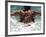 Young Woman Swimming the Butterfly Stroke in a Swimming Pool, Bainbridge Island, Washington, USA-null-Framed Photographic Print