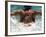 Young Woman Swimming the Butterfly Stroke in a Swimming Pool, Bainbridge Island, Washington, USA-null-Framed Photographic Print