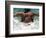 Young Woman Swimming the Butterfly Stroke in a Swimming Pool, Bainbridge Island, Washington, USA-null-Framed Photographic Print