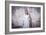 Young Woman Wearing White Dress-Sabine Rosch-Framed Photographic Print