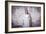 Young Woman Wearing White Dress-Sabine Rosch-Framed Photographic Print