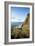 Young Women Hiking Along The Oregon Coast Trail. Oswald West State Park, OR-Justin Bailie-Framed Photographic Print