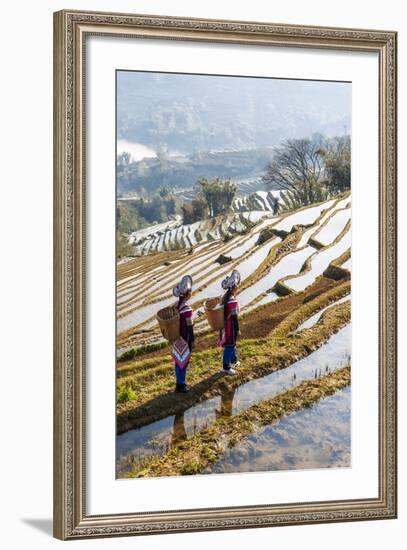 Young Women of the Hani Ethnic Minority Walking in the Rice Terraces, Yuanyang, Yunnan, China-Nadia Isakova-Framed Photographic Print