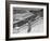 Young Women Walking Up Steps at the Beach Resort Mar Del Plata-Hart Preston-Framed Premium Photographic Print