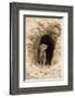 Young Yellow Mongoose (Cynictis Penicillata) at Burrow, Northern Cape, Africa-Ann & Steve Toon-Framed Photographic Print