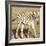 Young Zebra-Susann Parker-Framed Photo