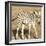 Young Zebra-Susann Parker-Framed Photo