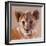 Youngest Cub, Masai Mara, 2019, (conté and pastel on paper)-Mark Adlington-Framed Giclee Print