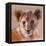 Youngest Cub, Masai Mara, 2019, (conté and pastel on paper)-Mark Adlington-Framed Premier Image Canvas