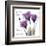 Your Love, Purple Tulip-Albert Koetsier-Framed Art Print