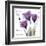 Your Love, Purple Tulip-Albert Koetsier-Framed Art Print