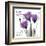 Your Love, Purple Tulip-Albert Koetsier-Framed Art Print