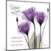 Your Love, Purple Tulip-Albert Koetsier-Mounted Art Print