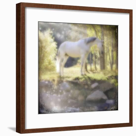 Your My Prince-LightBoxJournal-Framed Giclee Print