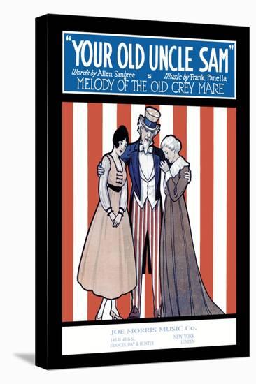 Stretched Canvas Print, , large