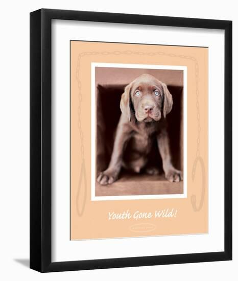 Youth Gone Wild-Rachael Hale-Framed Premium Giclee Print