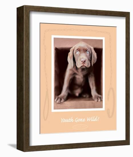 Youth Gone Wild-Rachael Hale-Framed Premium Giclee Print