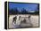 Youth Hockey Action at Woodland Park in Kalispell, Montana, USA-Chuck Haney-Framed Premier Image Canvas