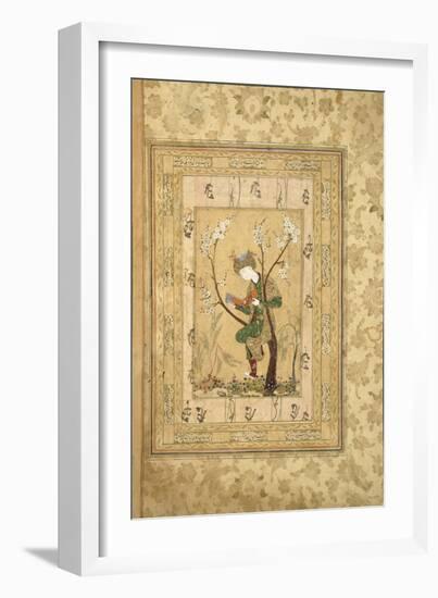 Youth Seated in the Fork of a Blossoming Tree, 1560S-null-Framed Giclee Print