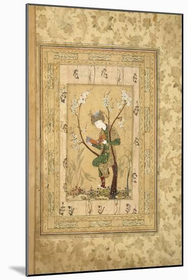 Youth Seated in the Fork of a Blossoming Tree, 1560S-null-Mounted Giclee Print