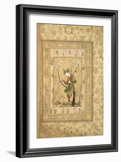 Youth Seated in the Fork of a Blossoming Tree, 1560S-null-Framed Giclee Print