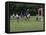 Youth Soccer-null-Framed Premier Image Canvas