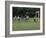 Youth Soccer-null-Framed Photographic Print