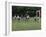 Youth Soccer-null-Framed Photographic Print