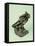 Youth Triumphant-Auguste Rodin-Framed Premier Image Canvas