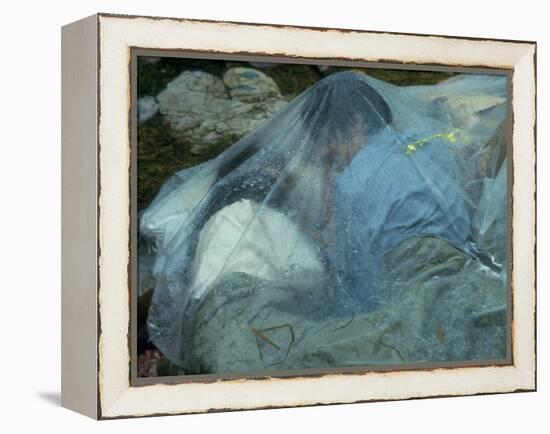 Youths Huddled under a Piece of Clear Plastic in the Rain, Woodstock Music and Art Fair-John Dominis-Framed Premier Image Canvas