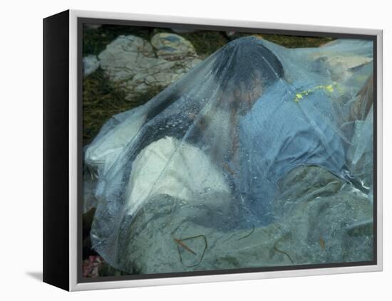 Youths Huddled under a Piece of Clear Plastic in the Rain, Woodstock Music and Art Fair-John Dominis-Framed Premier Image Canvas