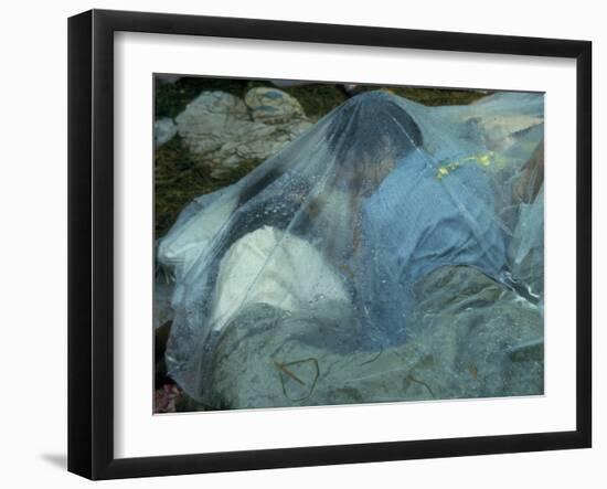 Youths Huddled under a Piece of Clear Plastic in the Rain, Woodstock Music and Art Fair-John Dominis-Framed Photographic Print