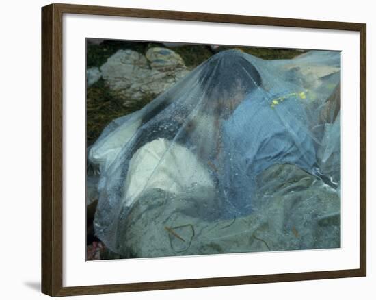 Youths Huddled under a Piece of Clear Plastic in the Rain, Woodstock Music and Art Fair-John Dominis-Framed Photographic Print