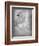 Yoveo-Lynne Davies-Framed Photographic Print