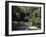 YS Falls St. Elizabeth Jamaica-null-Framed Photographic Print