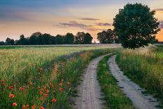 Summer Landscape with Country Road and Fields of Wheat. Masuria, Poland.-ysuel-Framed Photographic Print