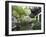 Yu Gardens (Yuyuan Gardens), the Restored 16th Century Gardens are One of Shanghai's Most Popular T-Amanda Hall-Framed Photographic Print