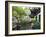 Yu Gardens (Yuyuan Gardens), the Restored 16th Century Gardens are One of Shanghai's Most Popular T-Amanda Hall-Framed Photographic Print