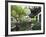 Yu Gardens (Yuyuan Gardens), the Restored 16th Century Gardens are One of Shanghai's Most Popular T-Amanda Hall-Framed Photographic Print