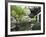 Yu Gardens (Yuyuan Gardens), the Restored 16th Century Gardens are One of Shanghai's Most Popular T-Amanda Hall-Framed Photographic Print