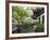 Yu Gardens (Yuyuan Gardens), the Restored 16th Century Gardens are One of Shanghai's Most Popular T-Amanda Hall-Framed Photographic Print