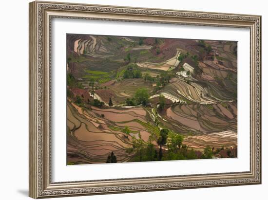 Yuang Yang-Art Wolfe-Framed Photographic Print