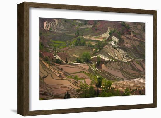 Yuang Yang-Art Wolfe-Framed Photographic Print