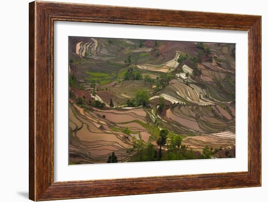 Yuang Yang-Art Wolfe-Framed Photographic Print